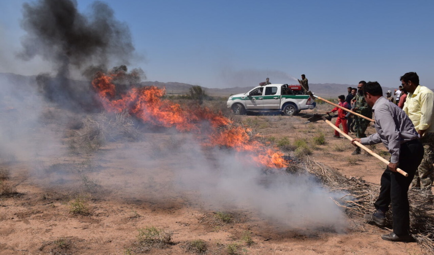 60 درصد عرصه های منابع طبیعی استان همدان در مناطق بحرانی آتش سوزی قرار دارد
