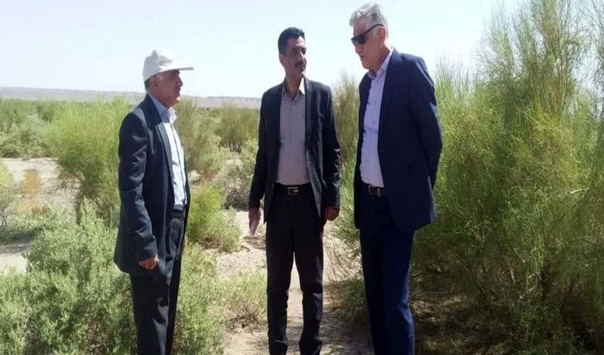 مقابله جهادی با بیابان‌زایی در سه میلیون هکتار از مناطق بحرانی کشور