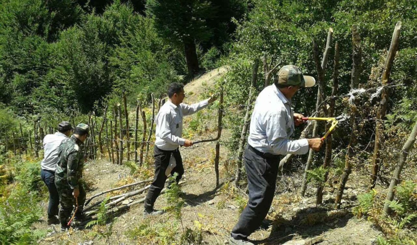 نوشهر/  11 هزار مترمربع از اراضی ملی شهرستان چالوس رفع تصرف شد