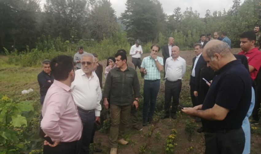 برآورد اعتبار ۱۸ هزار میلیارد تومانی طرح کاشت یک میلیارد درخت