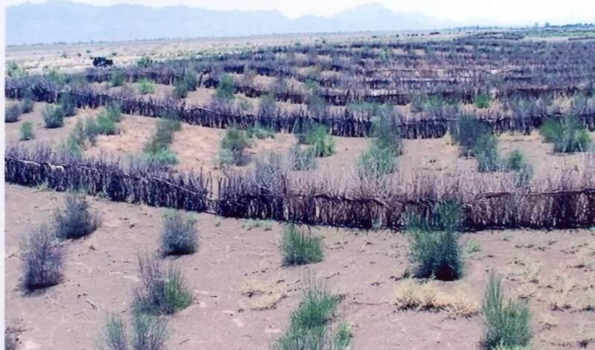 انجام طرح های بیابانی زدایی در مساحت 175 هزار هکتار از استان خراسان شمالی