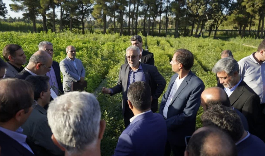 بازدید مدیران منابع طبیعی کشور از نهالستان بزرگ کرج 