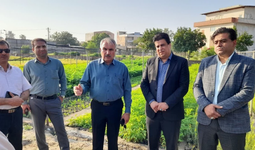 جنوب کرمان/ 4 هزار هکتار زراعت چوب و ۸ هزار کیلومتر باد شکن زنده اجرایی می شود