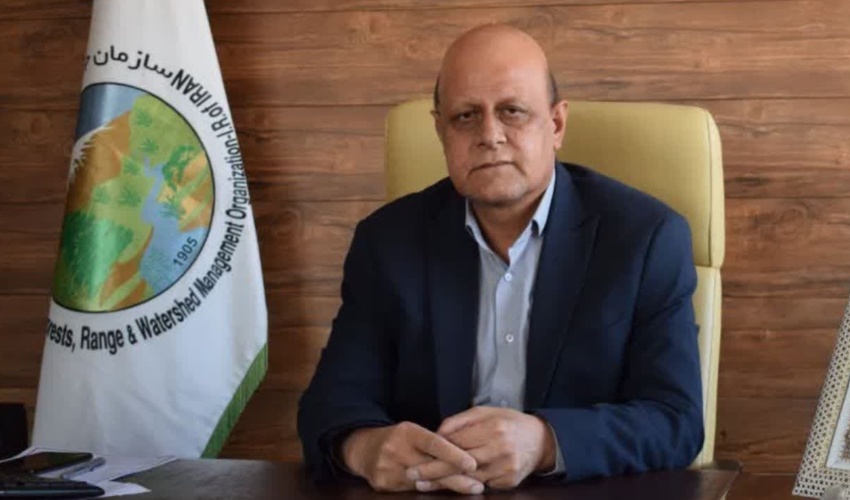 “عوامل انسانی” اصلی‌ترین عامل آتش‌سوزی جنگل‌های کرمانشاه است