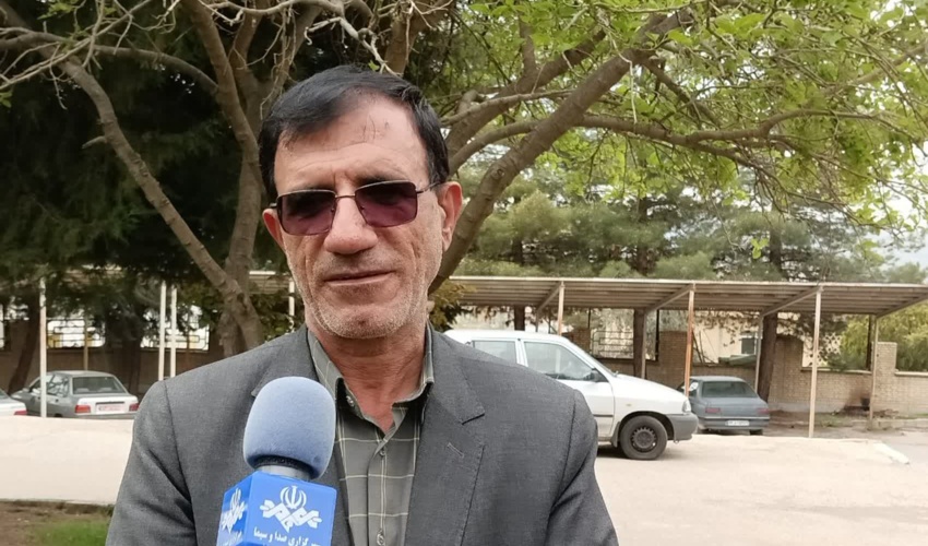 آخرین جزئیات از مبارزه با آفت برگخوار بلوط در کهگیلویه و بویراحمد