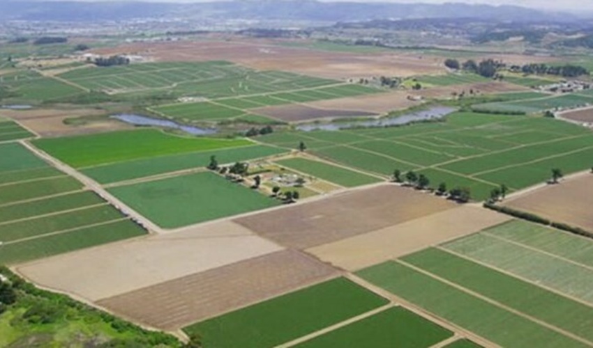 واگذاری اراضی ملی و دولتی برای کشاورزی فقط با تصویب سازمان منابع طبیعی و آبخیزداری امکان‌پذیر است