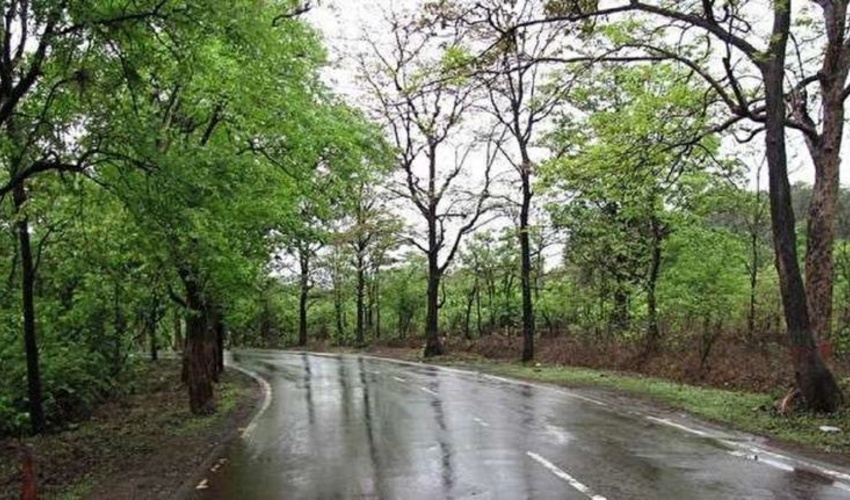  برنامه های سازمان منابع طبیعی برای ال نینو در حال تدوین است