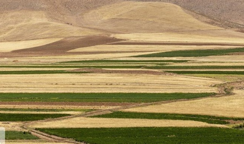 بیش از 112 هزار هکتار از اراضی ملی زنجان رفع تداخل شد