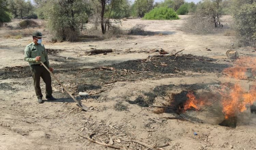 بیش از یک میلیون هکتار از اراضی بیابانی کرمان کانون بحران/ نهالکاری یا مالچ پاشی، کدام بهتر است؟