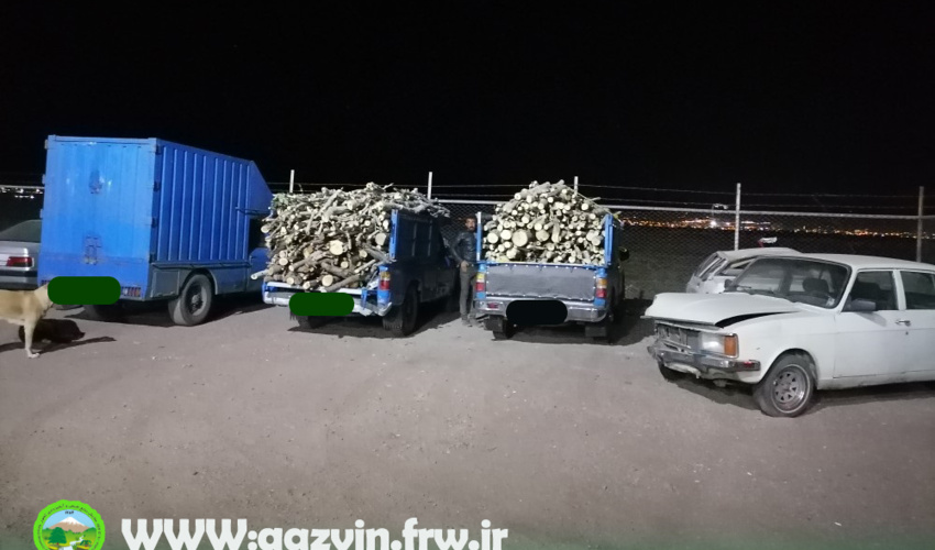 قزوین/ توقیف دو دستگاه خودرو حامل چوب آلات غیرمجاز
