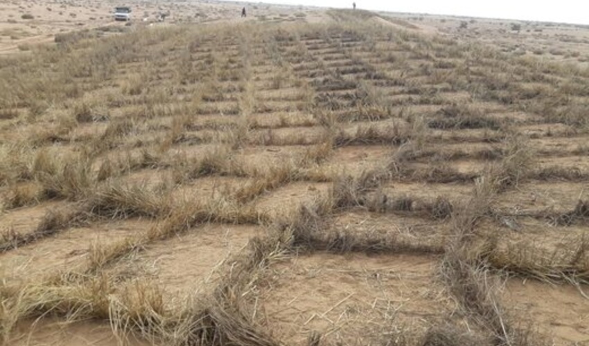 طرح مالچِ پوشالی ایران قابلیت اجرا برای بیابانزدایی در کشورهای منطقه دارد