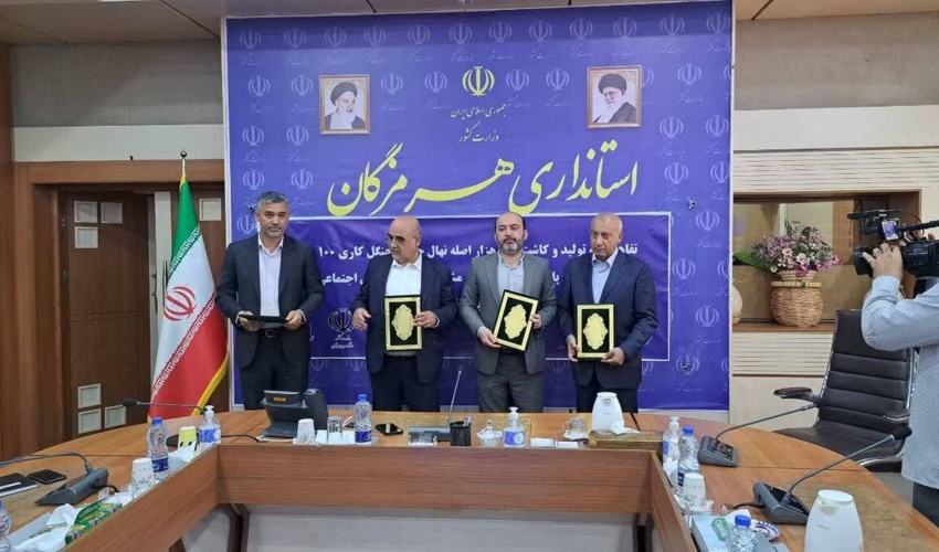 هرمزگان/ تفاهم نامه کاشت ۲۰۰ هزار نهال و ۱۰۰ هکتار جنگل‌کاری منعقد شد