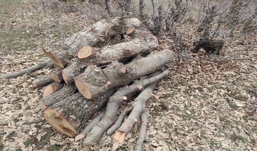 کهگیلویه/ 38  پرونده تخلف عرصه های ملی در شهرستان باشت تشکیل شد