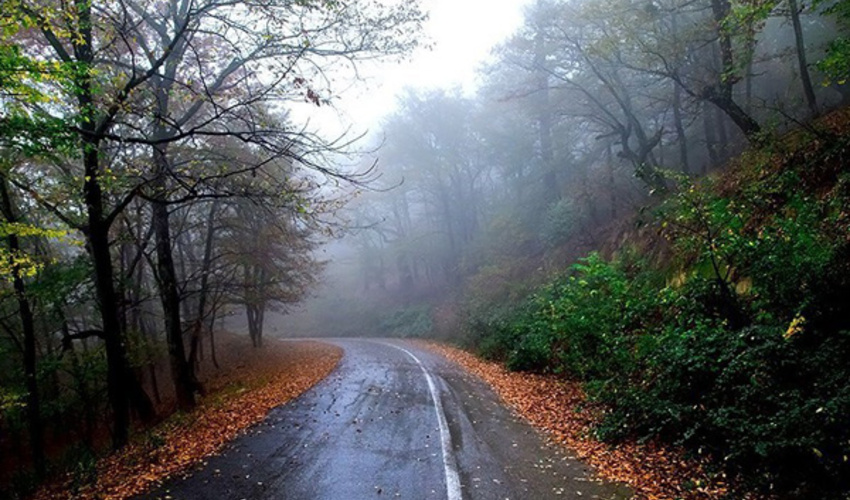 پاییز هزار رنگ جنگل های هیرکانی از نگاه دوربین