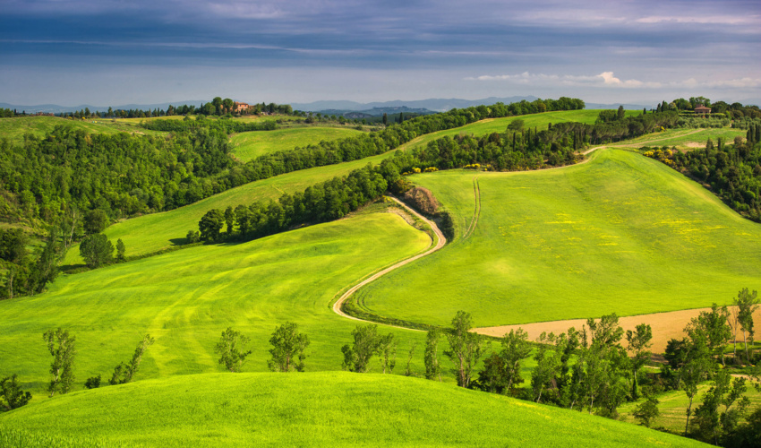 جنگل‌ها و مراتع جزو ثروت‌های ملی هستند و وقف‌ناپذیرند/ لزوم ابطال سندهای وقفی غیرقانونی