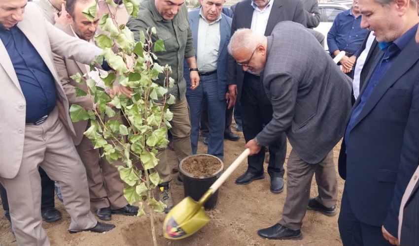 با حضور دکتر نوبخت انجام گرفت؛ آغاز پروژه دو هزار هکتاری زراعت چوب در استان اردبیل