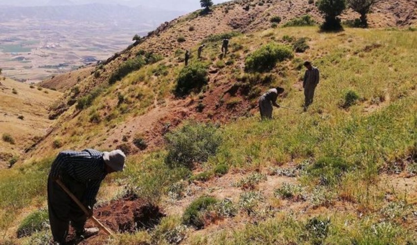 رویکرد دفتر امور مراتع در ارتباط با اصلاح و احیاء مراتع در سال 1402