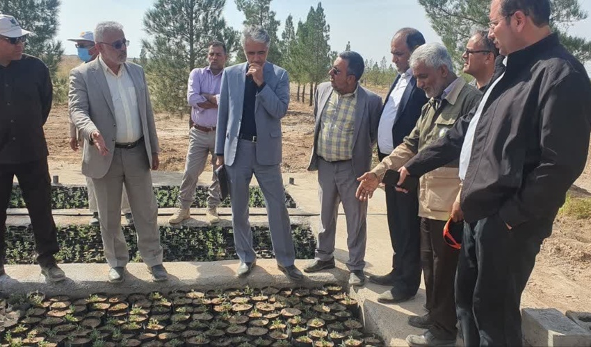 بازدید معاون وزیر جهاد کشاورزی از طرح های در دست اجرای منابع طبیعی خراسان جنوبی 