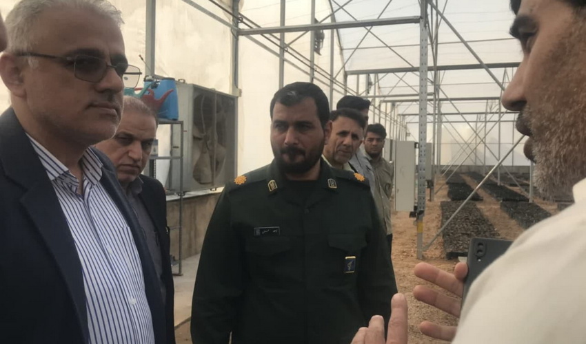 بازدید رییس سازمان منابع طبیعی از مجموعه گلخانه ای و نخلستان دهکده اقتصاد مقاومتی اهواز /به روایت تصویر