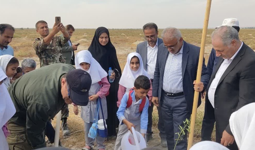 رئیس سازمان منابع طبیعی چند درخت در شهرستان دیلم غرس کرد