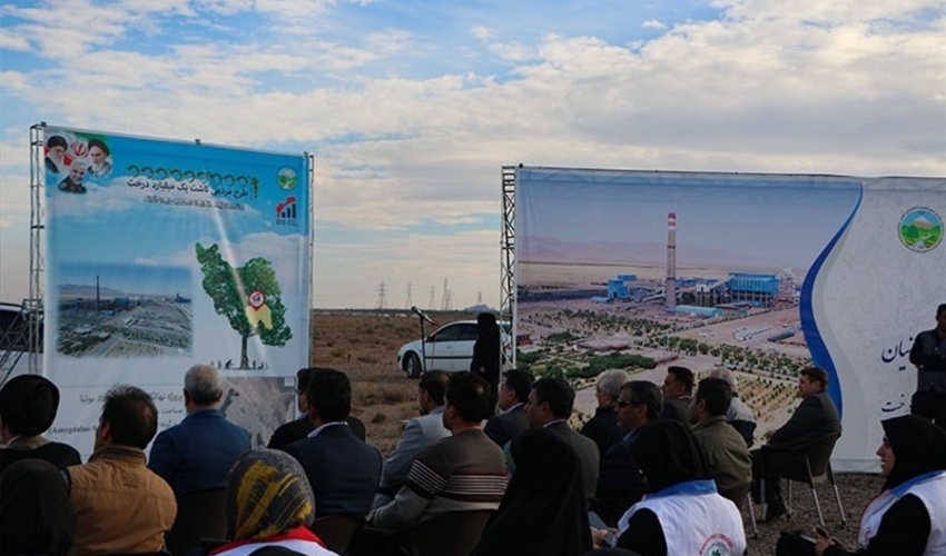 آغاز کاشت ۵۴۰ هزار اصله نهال در کرمان 