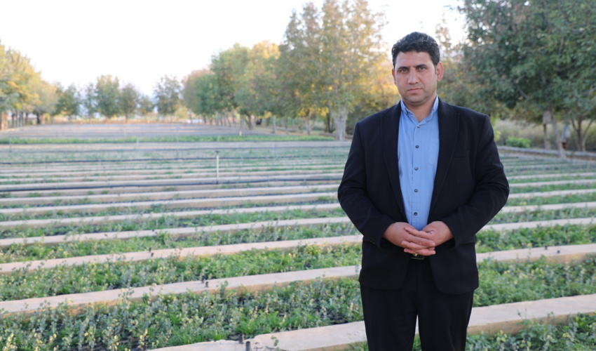 تولید 4 برابری نهال جهت اجرای طرح مردمی کاشت یک میلیارد درخت