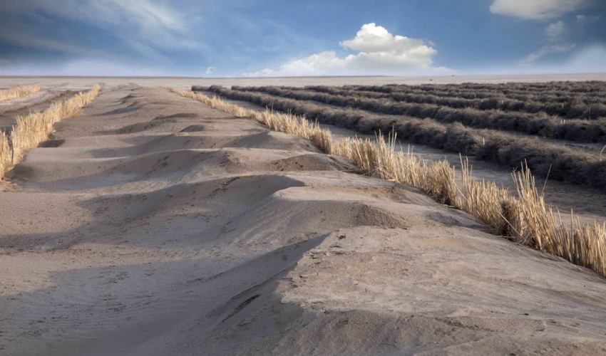 محمد سلیمانی؛ همکار خبرنگار از استان مرکزی 