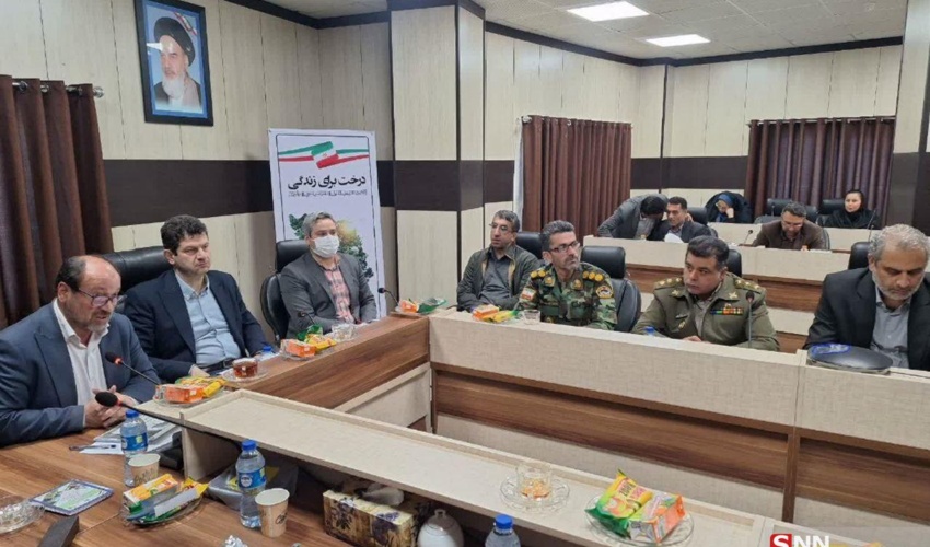 تولید 10 و ‌نیم میلیون اصله نهال در گلستان / 67 نهالستان پای‌کار هستند