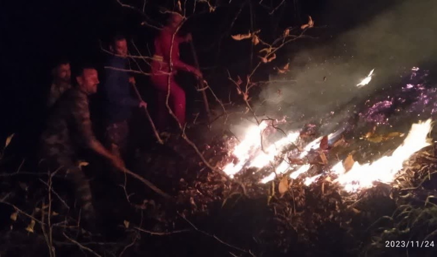 همکار خبرنگار؛ بهرام نعمتی از استان گیلان