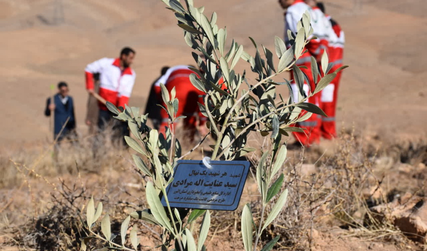 آغاز کاشت سه هزار اصله نهال به یاد شهدای محور مقاومت در البرز