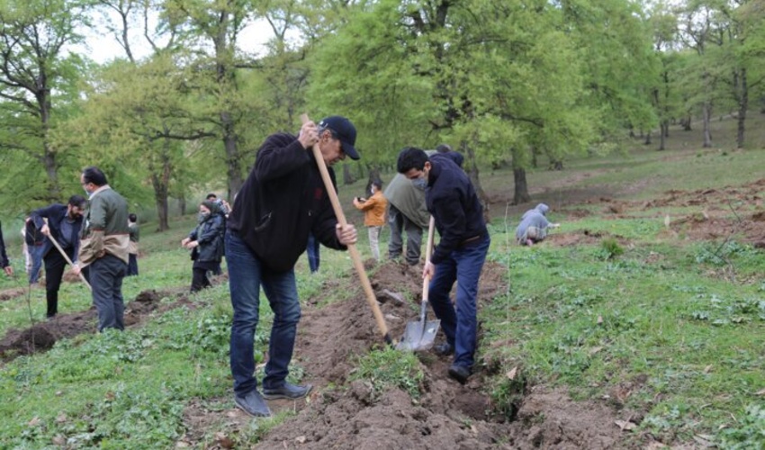  آغاز پویش سراسری کاشت یک میلیارد درخت در استان کرمانشاه 