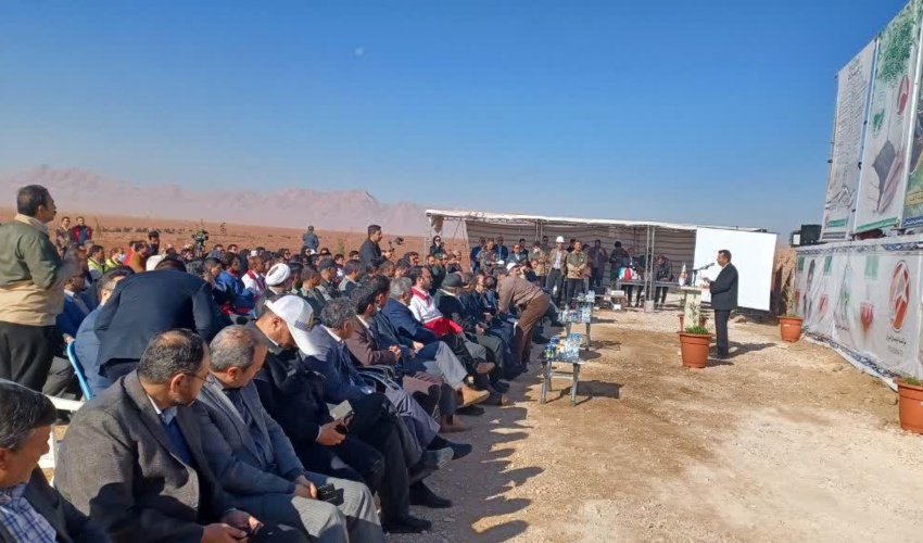 مرحله اجرایی طرح مردمی کاشت یک میلیارد درخت با پویش امام رضا در خراسان شمالی