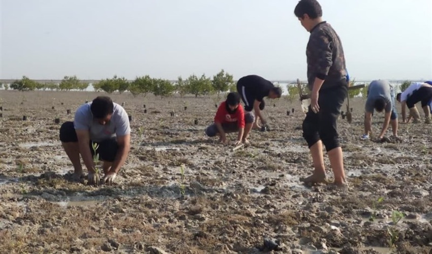 رییس سازمان منابع طبیعی فردا عازم هرمزگان می شود