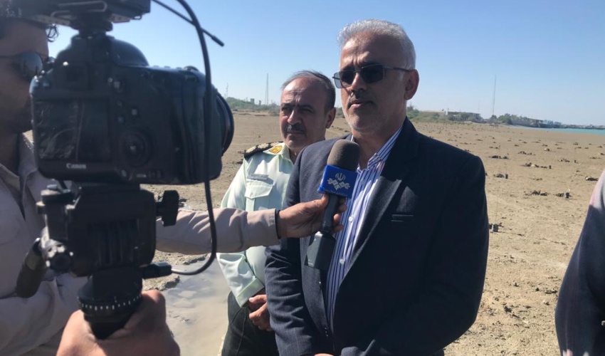 آغاز پویش مروارید با حضور فرمانده نیروی دریایی راهبردی ارتش و ریاست سازمان منابع طبیعی در بندر جاسک/ گزارش تصویری