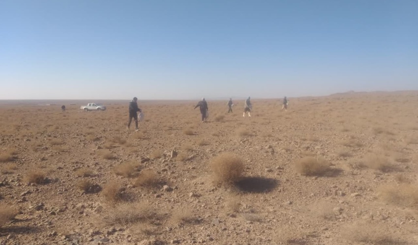 بذر پاشی در بیش از ۱۷۰۰ هکتار از اراضی مرتعی خراسان رضوی