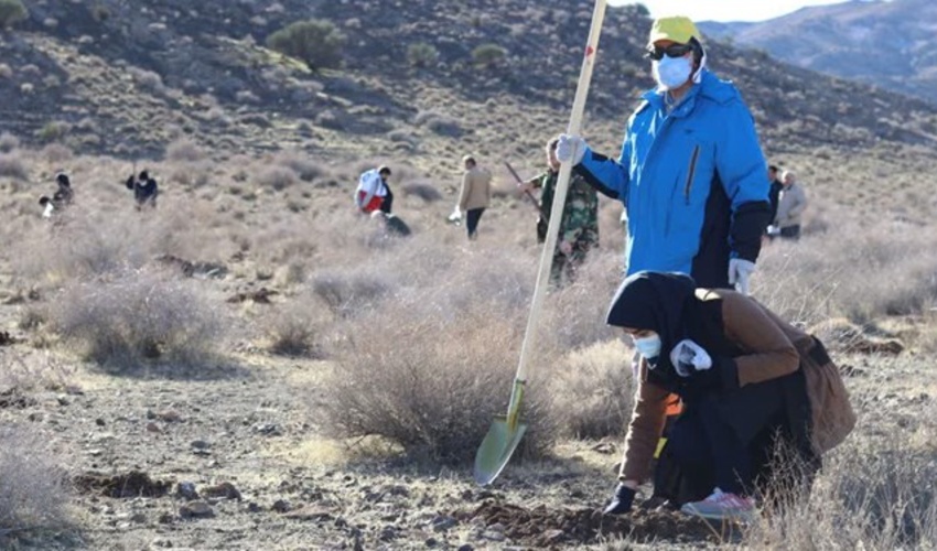 آذربایجان غربی/ 150 هکتار از مراتع شهرستان سردشت غنی‌سازی شد
