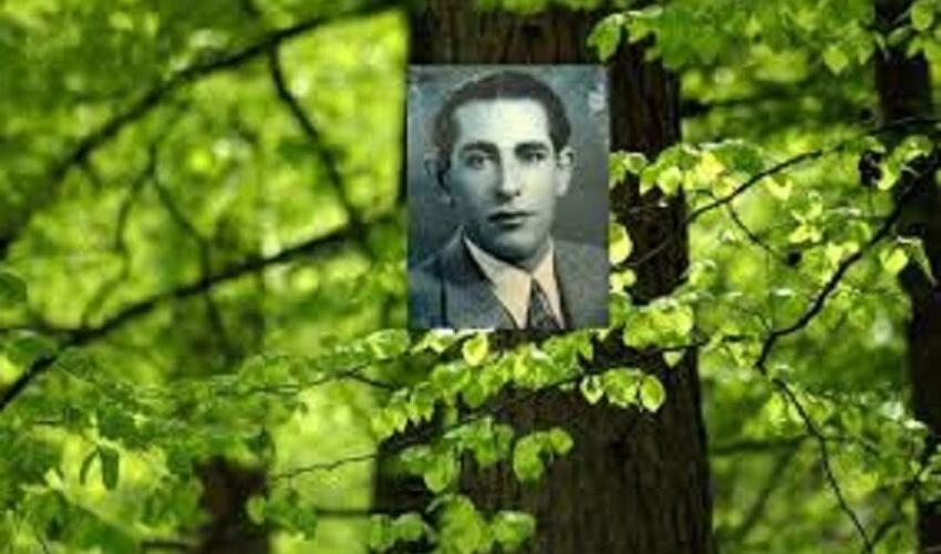 خدمات استاد کریم ساعی در عرصه منابع طبیعی کشور ماندگار است