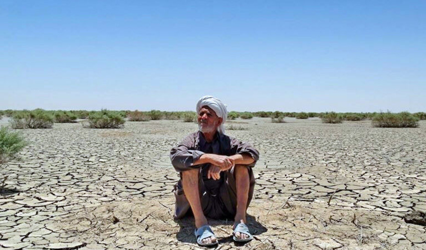 لزوم تقویت دیپلماسی زیست‌محیطی برای نجات هامون