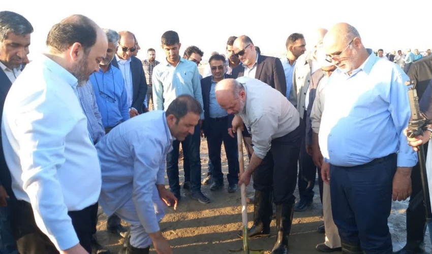 آغاز کاشت ۲۰۰ هکتار نهال در بندرعباس با حضور وزیر کشور