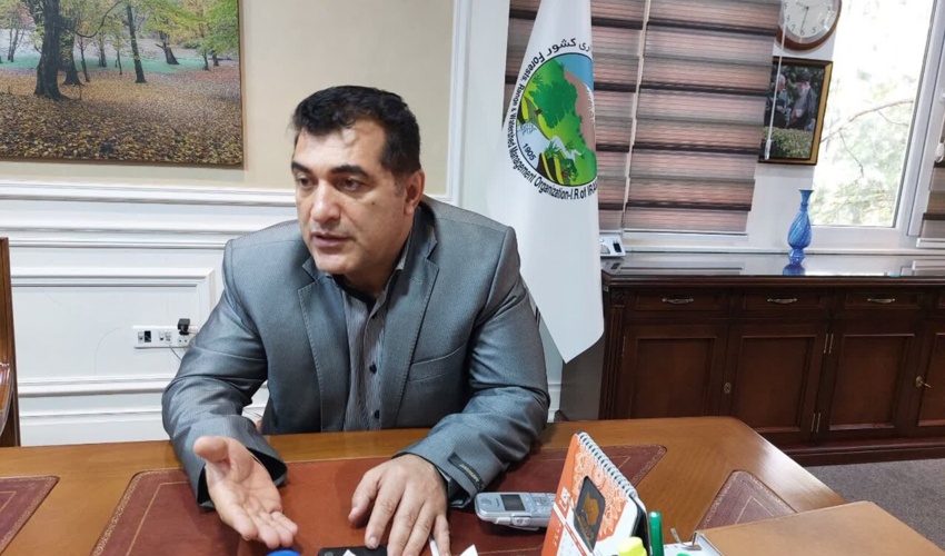 ضرورت راه‌اندازی بازار کربن در کشور/ کاشت تنها ۱۵۳ میلیون درخت در برنامه ششم توسعه