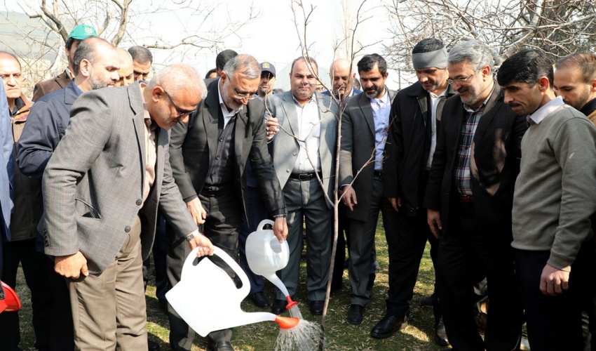 هم افتتاح کردند هم درخت کاشتند 