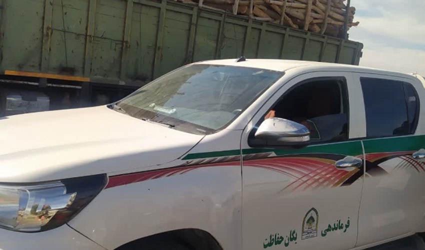 جنوب کرمان/کشف و ضبط ۱۵ تُن چوب بدون مجوز حمل در شهرستان جیرفت