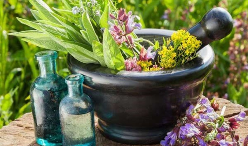 صادرات بیش از 850 تن گیاهان دارویی به بازارهای جهانی 