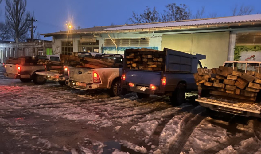 186 اصله قنداق قاچاق جنگلی در اردبیل کشف و ضبط شد