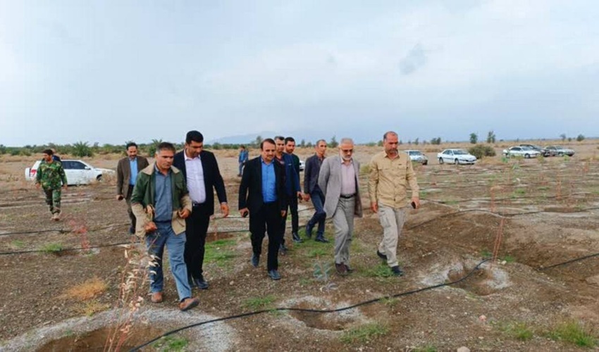 تاکید رئیس سازمان منابع طبیعی و آبخیزداری کشور بر توانمندسازی جوامع محلی  