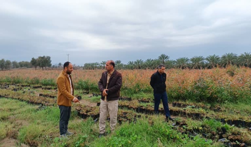 بازدید مدیرکل منابع طبیعی جنوب کرمان از پروژه های شهرستان های قلعه گنج و منوجان
