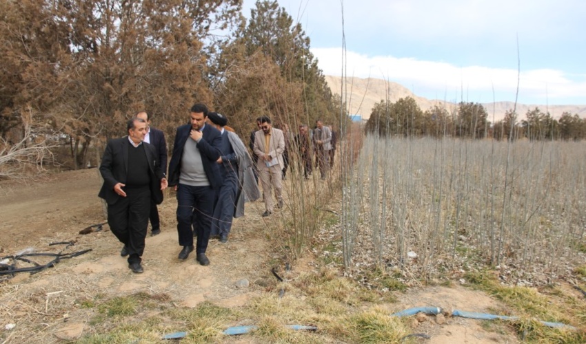 طرح مردمی کاشت یک میلیارد درخت با کمک مردم و اقدام جهادی رو به جلو درحرکت است