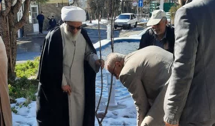 کاشت نهال توسط امام جمعه بوشهر در سازمان منابع طبیعی 