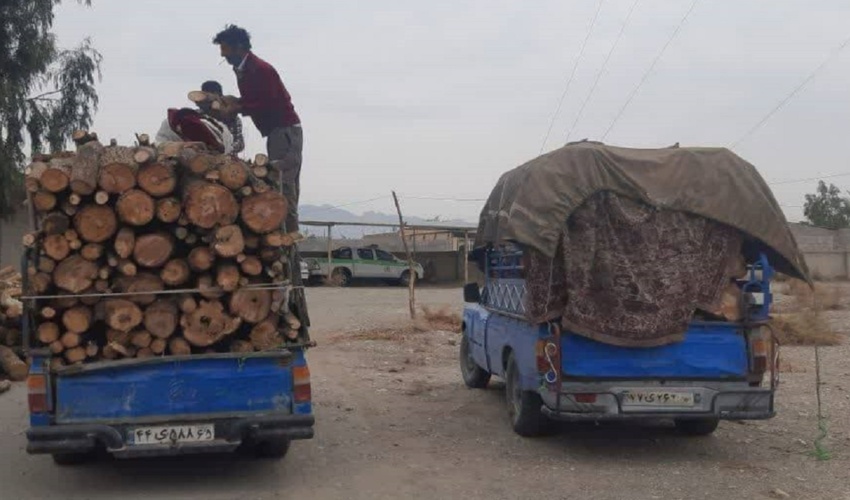 کرمان/ کشف و توقیف۶۰۰۰ کیلو چوب قاچاق در شهرستان ارزوئیه 