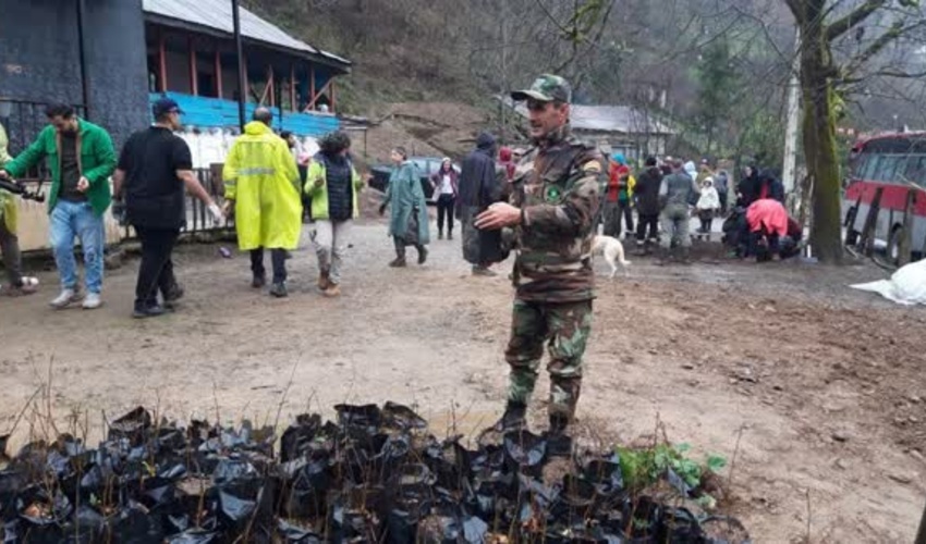 گیلان/ رویش دوباره «سرخدار» و «شاه‌بلوط» در شفت در راستای طرح مردمی یک میلیارد درخت